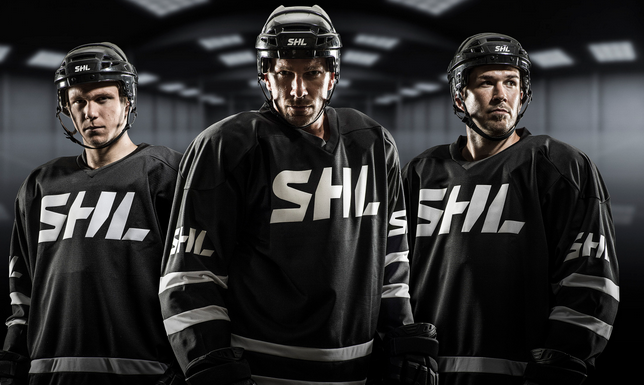 Swedish Hockey League