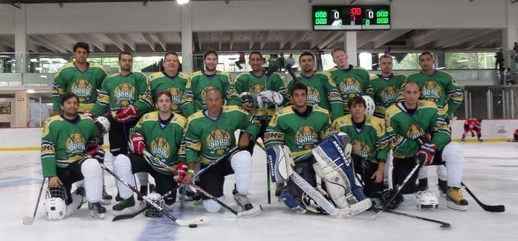 Equipe brasileira de hockey no gelo
