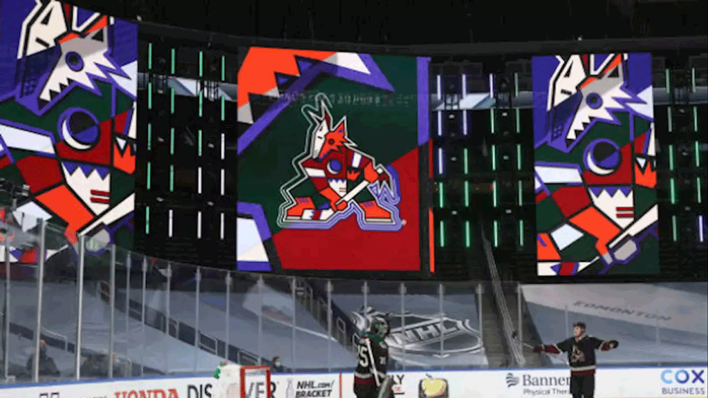 NHL determina punição para o Arizona Coyotes