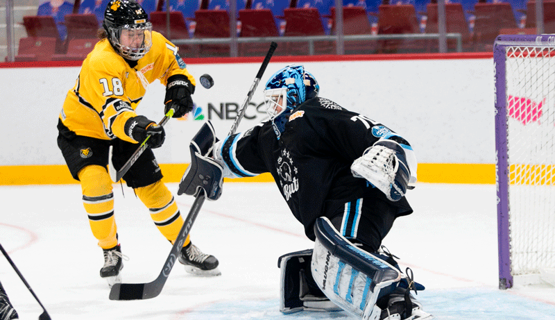 NWHL anuncia data para final de temporada